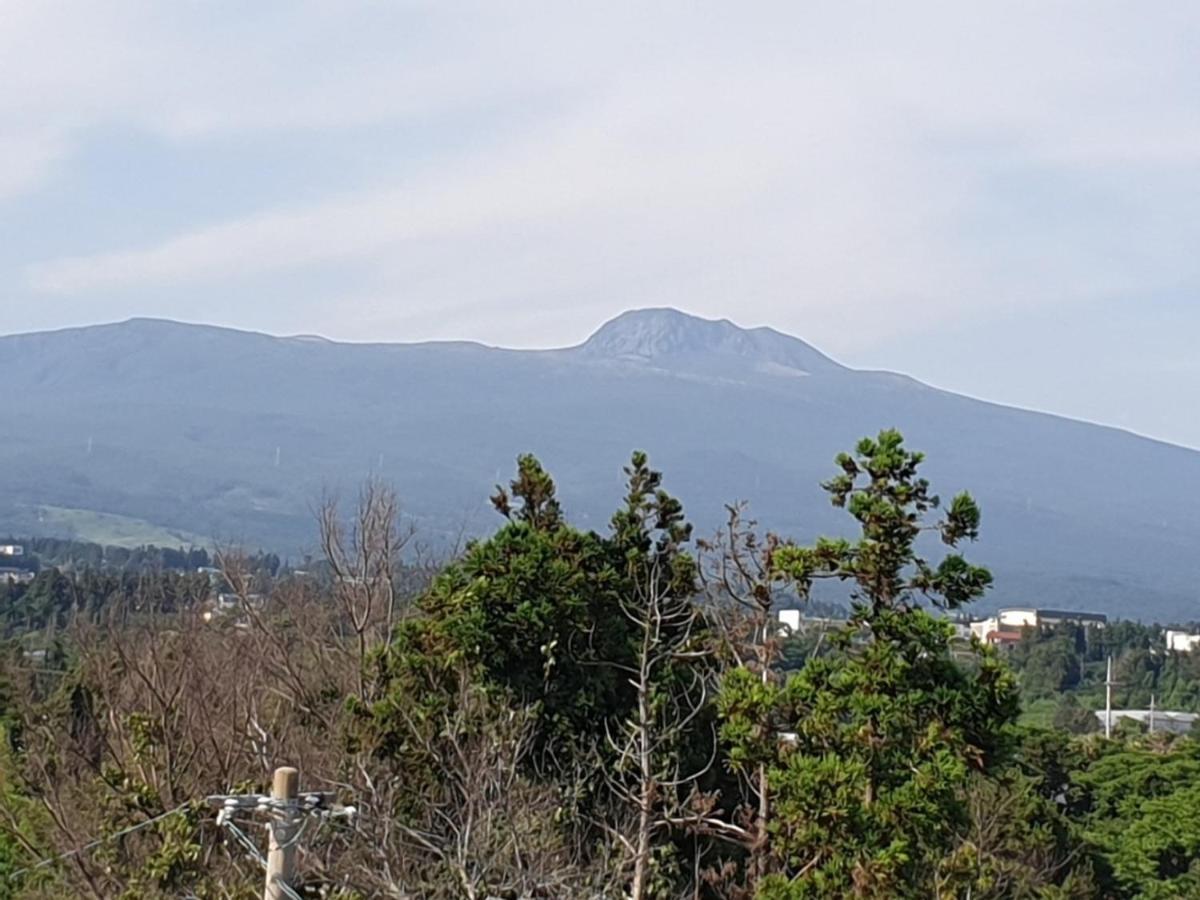 Jeju Soroan Pension Seogwipo Ngoại thất bức ảnh